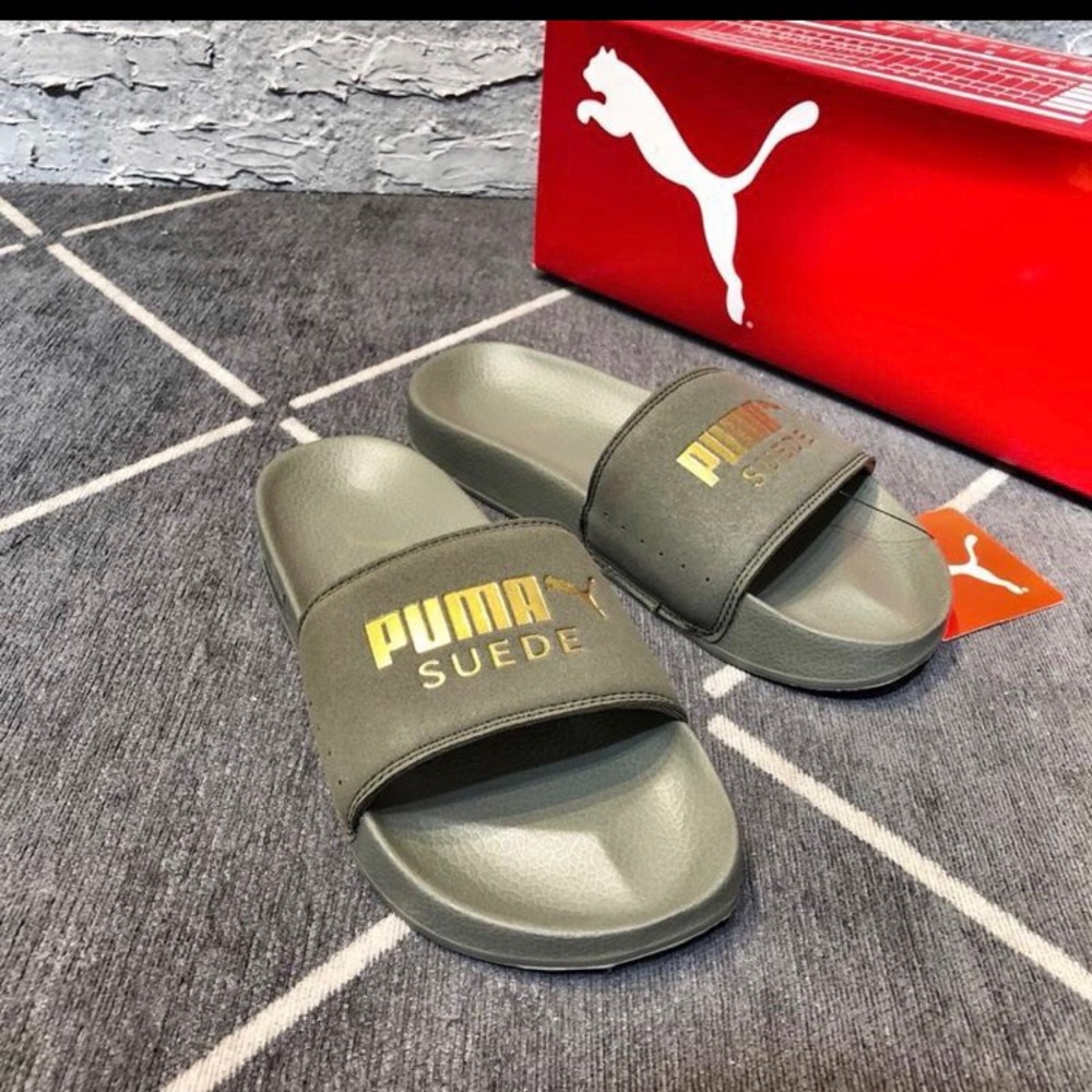 slides